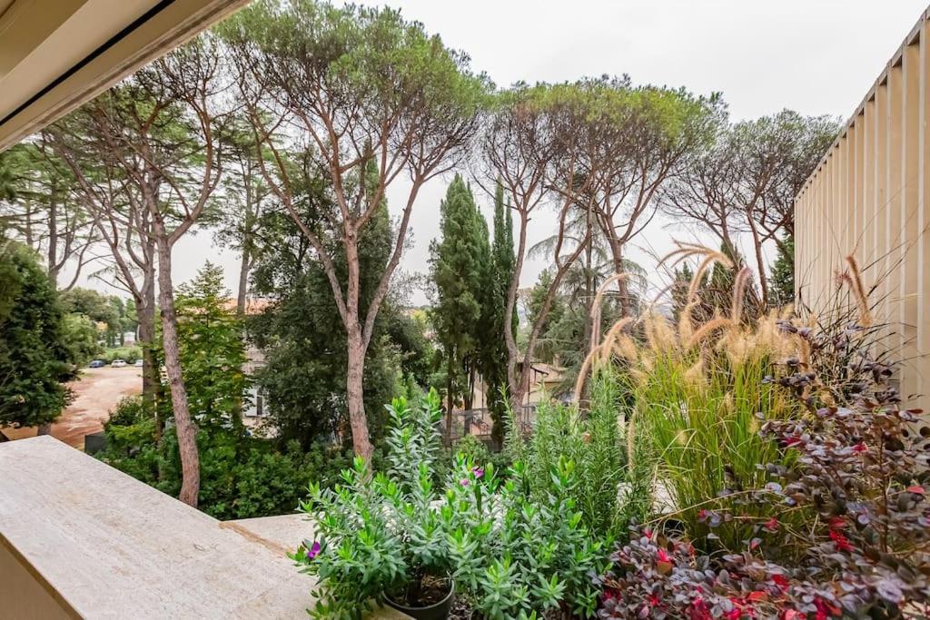 Bdc - Cassia Luxury Rome
